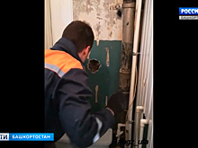 В Уфе спасатели освободили кошку, которая 12 дней провела в бетонном плену