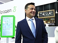 Воробьев представил на ПМЭФ необычную картину, посвященную региону