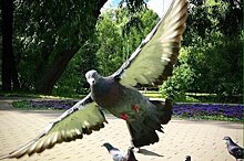 Парк «Усадьба Воронцово» предлагает насладиться общением с природой