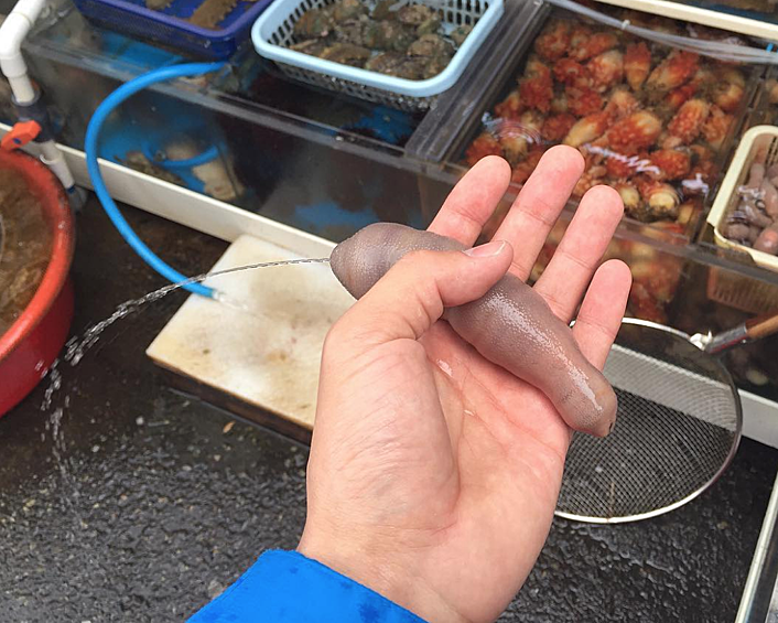  Этим удивительным существом оказался вид морских червей типа эхиуры. Они живут на морском дне в норах в песке или грязи