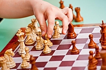 Ход конем. “Планета Молодых” предлагает азы шахмат освоить онлайн