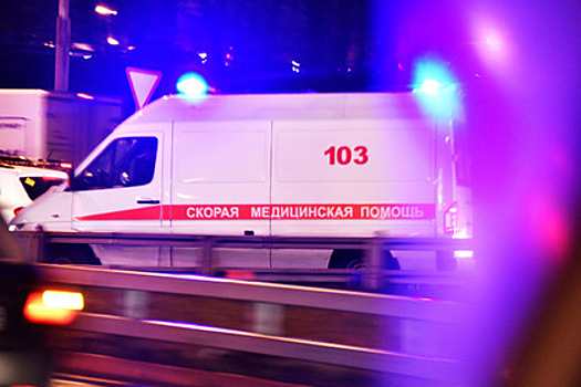 Пять человек погибли в результате аварии с грузовиком в Пензенской области