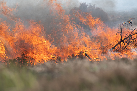 700 квадратных метров свалки вспыхнули в ЯНАО