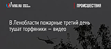 В Ленобласти пожарные третий день тушат торфяники — видео