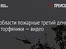 В Ленобласти пожарные третий день тушат торфяники — видео