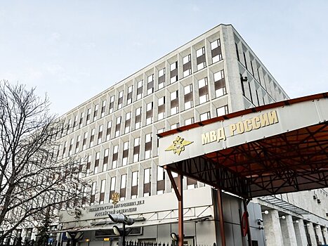 МВД: в РФ лишат гражданства иностранцев, не принесших присягу до 22 ноября