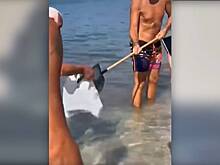 Огромные крысы прибились к берегу популярного у богачей курорта Европы и попали на видео