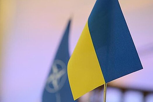 На Украине призвали исключить Венгрию из НАТО
