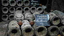 Коллекция "Массандры" пополнится уникальными винами