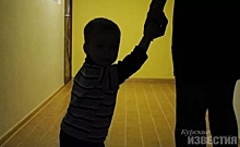 Трёхлетнего ребёнка изъяли из социально опасной семьи в Курской области