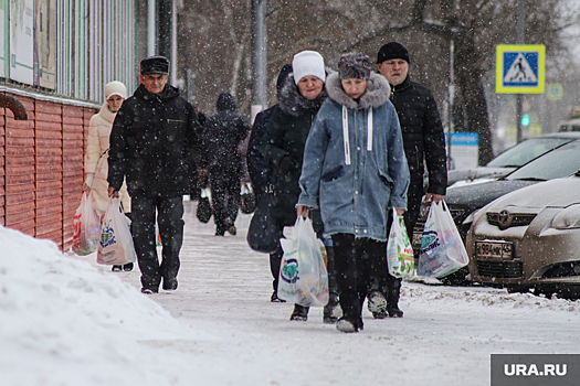 Курганские власти признали сокращение доходов населения