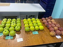 Ученые предложили новые источники питания для россиян