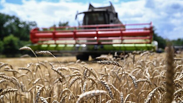 Подсчитан ущерб Украины в случае разрыва зерновой сделки