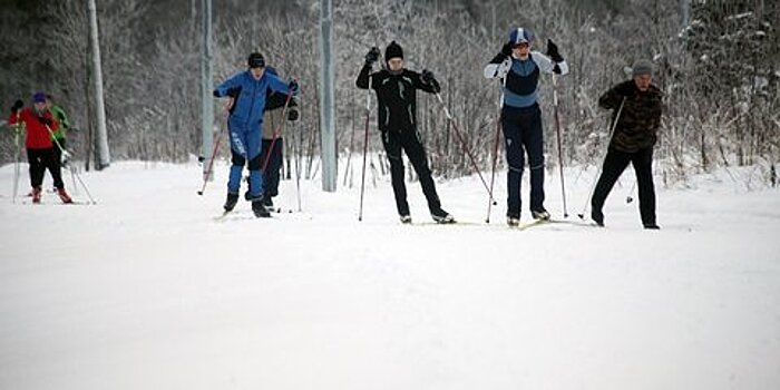 Лыжные трассы и тропы здоровья появятся в 26 парках