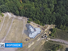 Картина размером в четверть гектара появилась в Центральном парке Воронежа