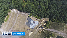 Картина размером в четверть гектара появилась в Центральном парке Воронежа