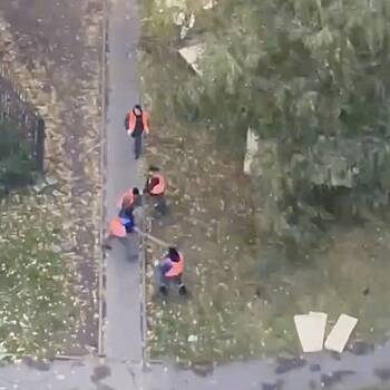 Вооруженные досками коммунальщики устроили драку в Москве