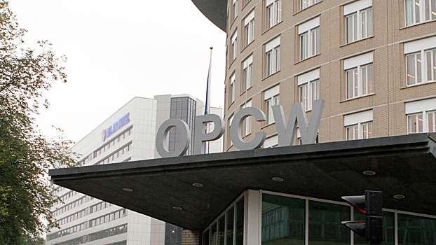 Россия не вошла в Исполком ОЗХО