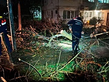 Ураганный ветер и огромные волны: в Крыму оценили ущерб от разгула стихии