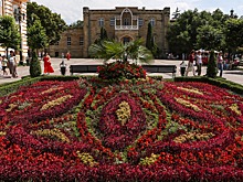 В Кисловодске за состоянием клумб будут следить с помощью системы видеонаблюдения