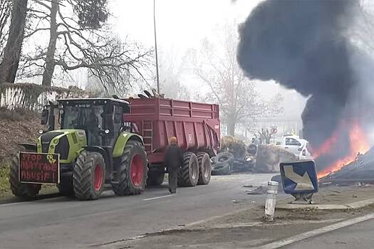 Фермеры вывесили труп теленка на дереве перед бывшим офисом министра в Европе
