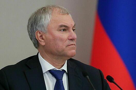 Володин: Политикам ФРГ будет стыдно за годы, приведшие к охлаждению отношений с РФ