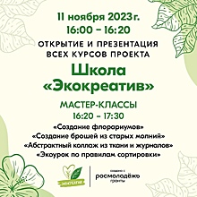 В Курске 11 ноября откроют школу «Экокреатив»