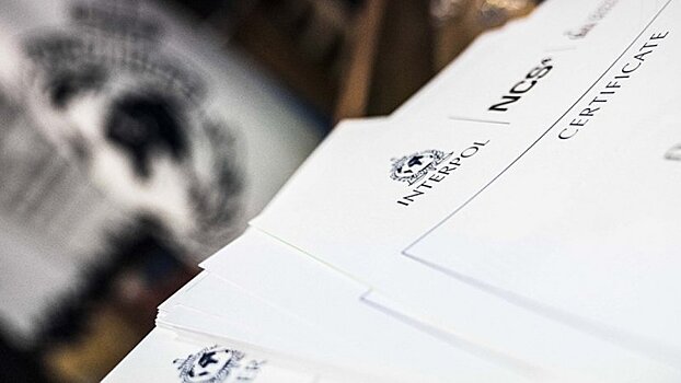 Пропал президент Интерпола