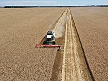 Около 70% студентов аграрного университета устраиваются по специальности