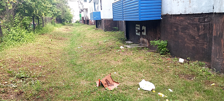 Намусорившие во дворе горожане возмутили кузбассовцев