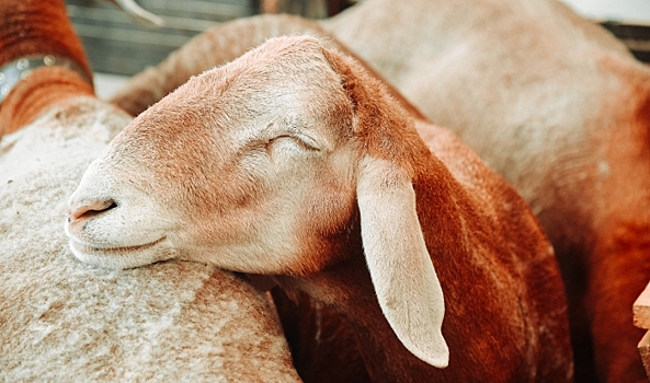 Приметы на 27 марта: чего категорически нельзя делать в Венедиктов день