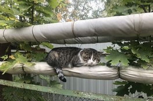 Бесхозные инженерные сети в Шелехове обрели владельца