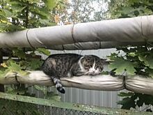 Бесхозные инженерные сети в Шелехове обрели владельца