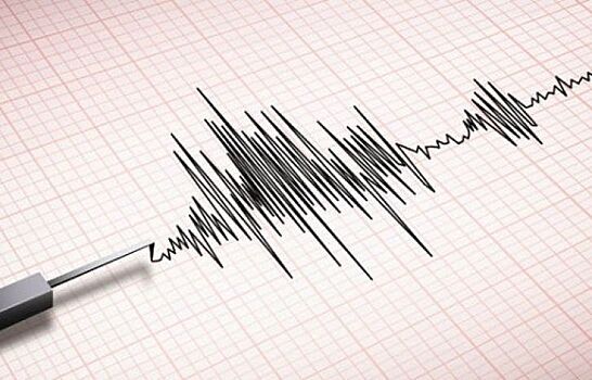 В Перу произошло землетрясение магнитудой 5
