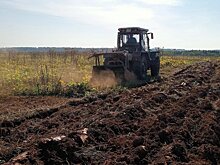В Чистых прудах завершается 3 этап по ликвидации борщевика