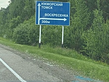 Медведь встал во весь рост на трассе около Кемерова