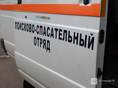 В Нижегородской области нашли живой пропавшую 12-летнюю девочку