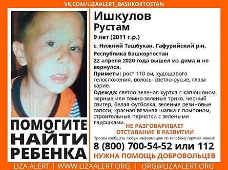 В Башкирии ищут пропавшего без вести 9-летнего Рустама. В Приамурье – 16-летнего Владислава