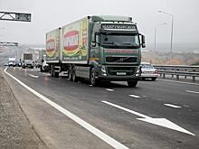 Дальнобойщики взывают к президенту: «Владимир Владимирович, остановите беспредел на дорогах!»