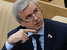 В Госдуме назвали бредом идею разрешить оперативным службам таранить автомобили