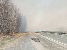На Южном Урале перекрывали оживленную трассу из-за ландшафтного пожара