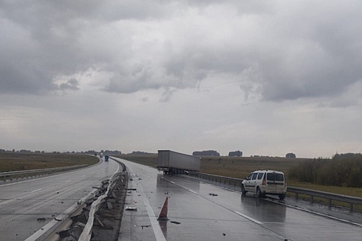 В Новосибирской области грузовик насмерть сбил дорожных рабочих