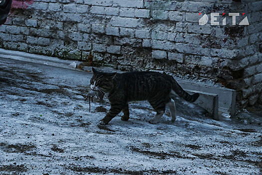 Корни русофобии глубоки, считает председатель Ассамблеи народов Приморского края