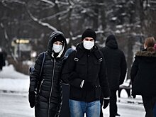Иммунолог заявил, что Москва вышла на плато по заболеваемости коронавирусом
