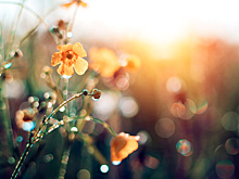 Приметы и поверья на 22 мая: что нельзя делать на Николу Вешнего