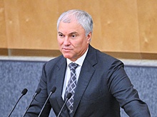 Володин: Устрицы не должны облагаться налогами по льготной шкале