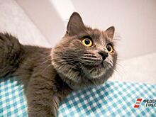 Более 500 тыс. онлайн-заявлений поступило в Росреестр по Москве за январь – апрель