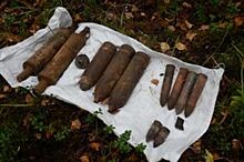 11 снарядов времён Гражданской войны нашли в Плесецком районе