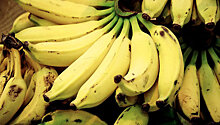 Диетологи рассказали, как меняют организм бананы и тофу