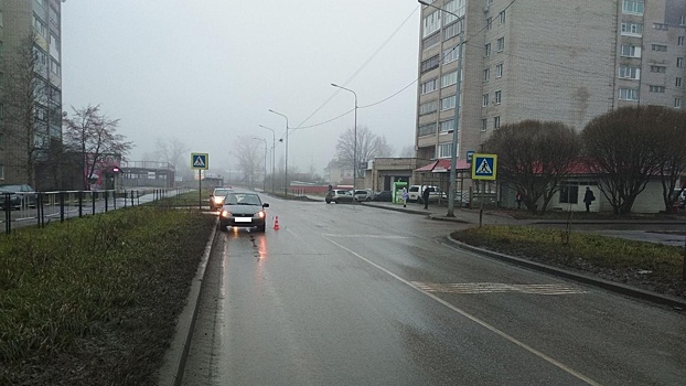 73-летний мужчина сбил двух пешеходов на зебре в Вологде